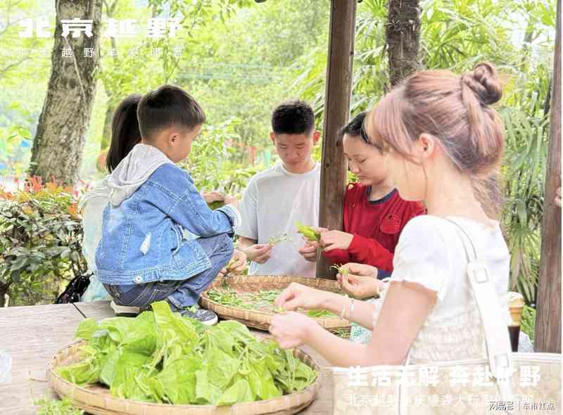  从硬派越野到家庭座驾：北京越野用用户数据重新定义产品战略 企业服务