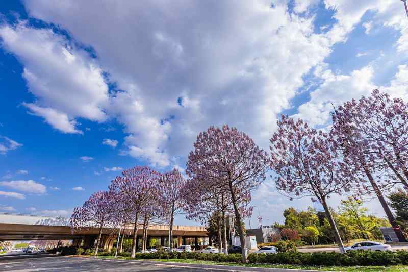  规划纲要新气象；三个指标调整，温暖民生脉动。 新闻 规划纲要新气象；三个指标调整，温暖民生脉动。 新闻