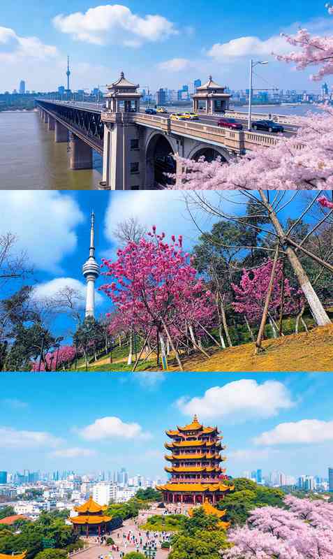 【文旅心理洞察】公众对于文化遗产的深度精神渴求