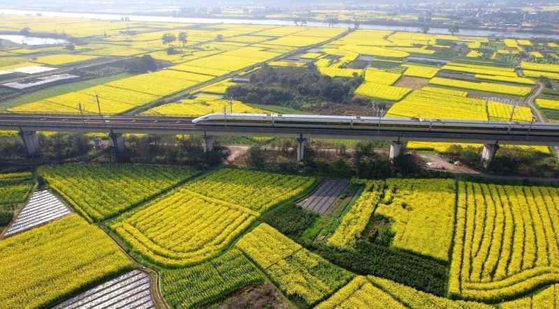 【文旅心理洞察】公众对于文化遗产的深度精神渴求 新闻