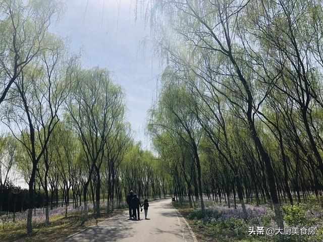 农谚气象学解密:二月十九晴雨规律与春旱防御的系统方法 文化旅游