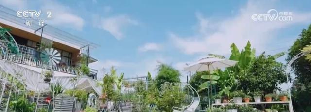  “小轻新”模式解码：湘峰村庭院经济如何用轻资产撬动微度假市场 文化旅游