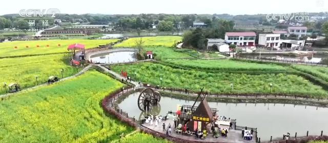  “小轻新”模式解码：湘峰村庭院经济如何用轻资产撬动微度假市场 文化旅游