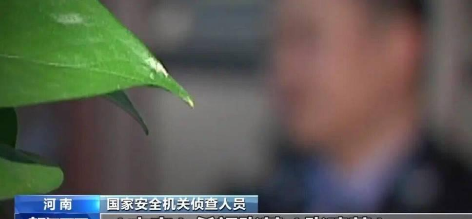  一个农村青年的歧路迷途：信念崩塌背后的国家安全警示录 文化旅游