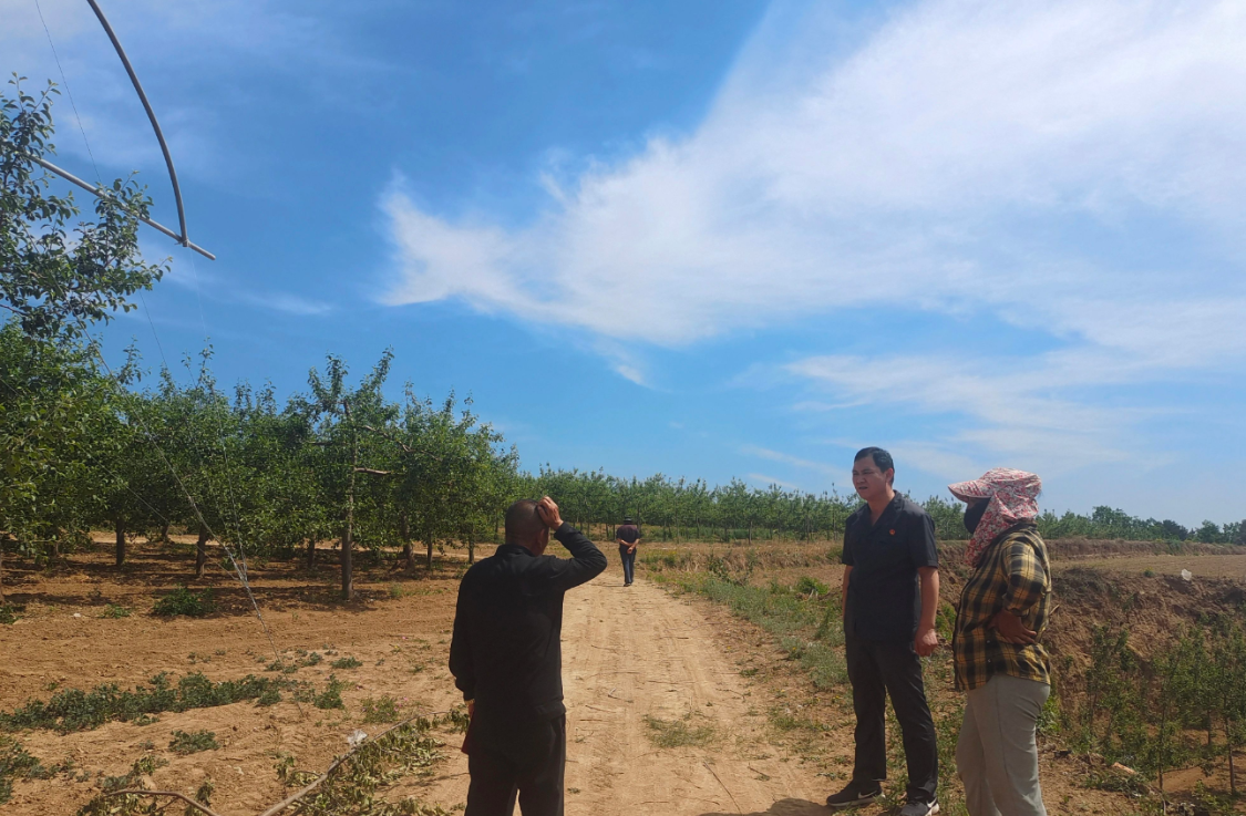  农村新政深度解读：2026年「自主权」赋能的制度逻辑与实践图景 新闻