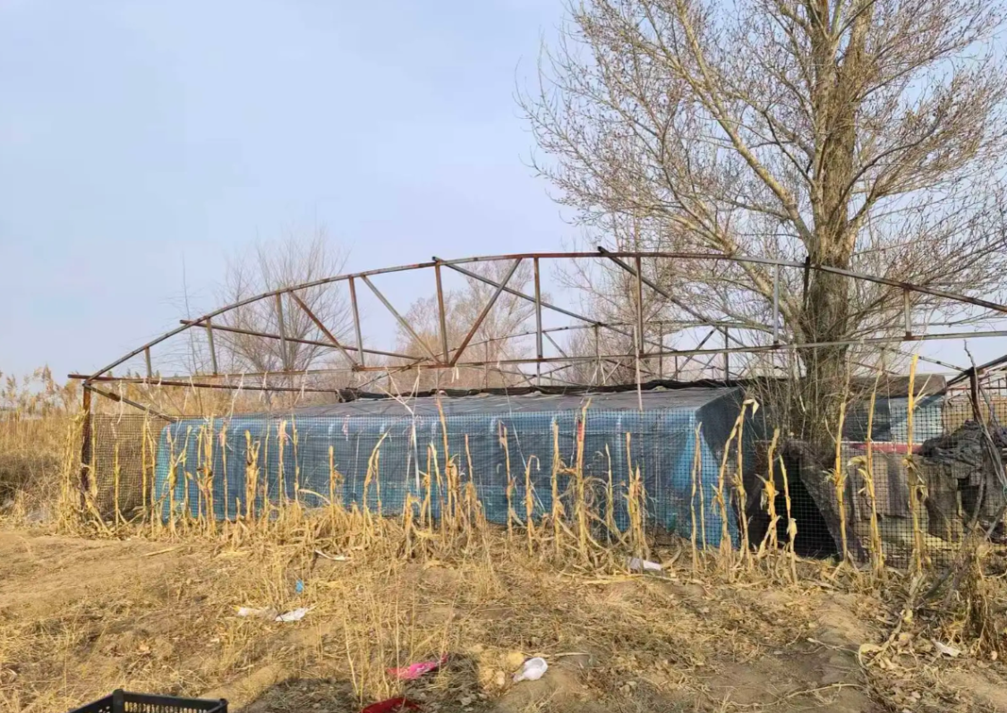  农村新政深度解读：2026年「自主权」赋能的制度逻辑与实践图景 新闻