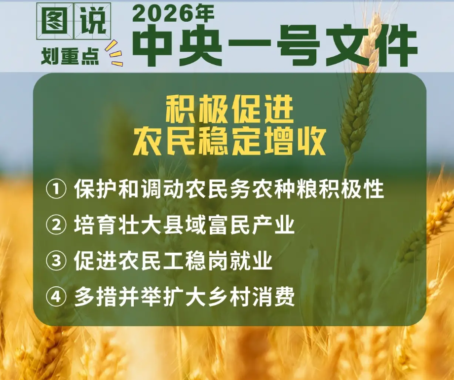  农村新政深度解读：2026年「自主权」赋能的制度逻辑与实践图景 新闻