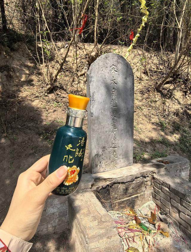  「地理信息×历史考古」：一位洛阳技术人的帝王陵分布图绘制手记 文化旅游