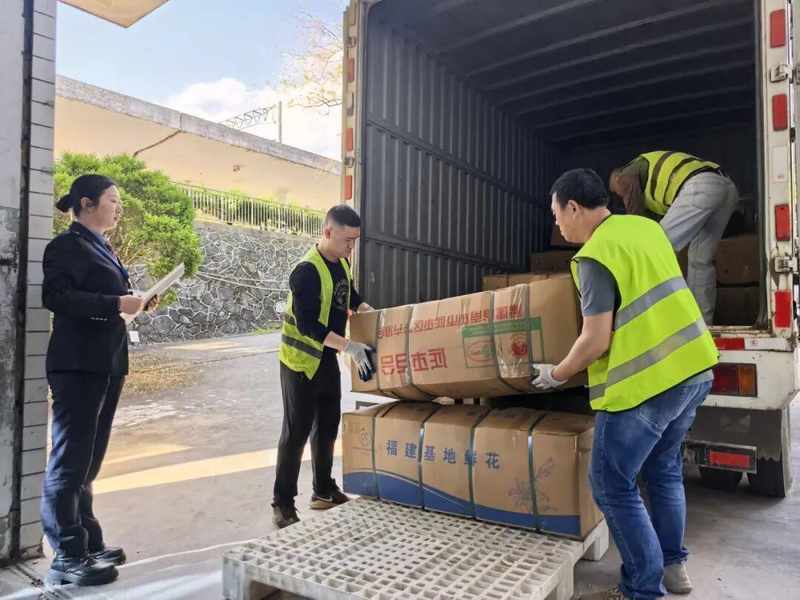 时效破局:铁路冷链如何重塑百合花供应链 新闻 时效破局:铁路冷链如何重塑百合花供应链 新闻