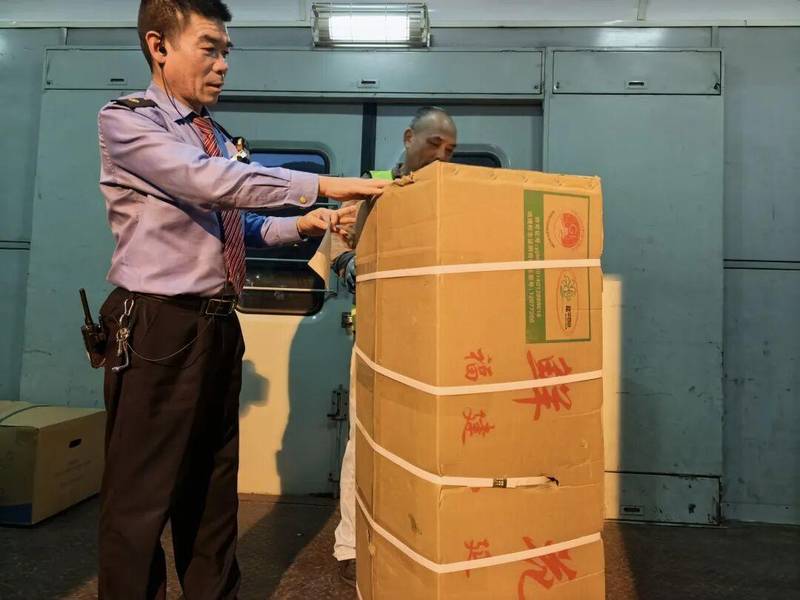 时效破局:铁路冷链如何重塑百合花供应链 新闻 时效破局:铁路冷链如何重塑百合花供应链 新闻