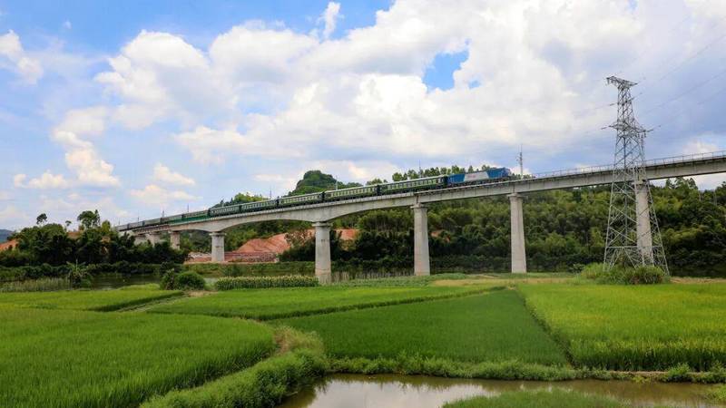 时效破局:铁路冷链如何重塑百合花供应链 新闻 时效破局:铁路冷链如何重塑百合花供应链 新闻