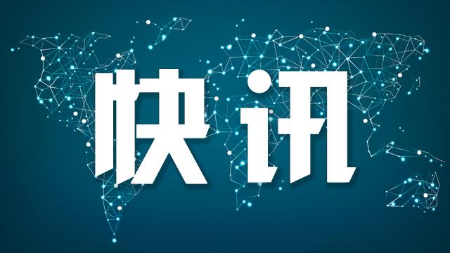 IMF深度报告:菲律宾债务结构演变与能源安全的系统性风险 股票财经