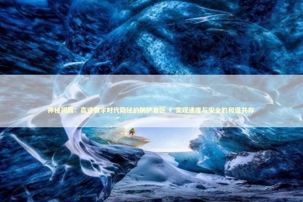 神秘揭露：高速数字时代隐秘的防护盲区 + 实现速度与安全的和谐共存