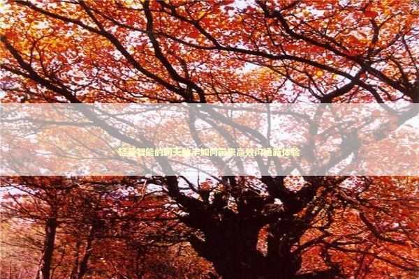 轻量智能的聊天助手如何带来高效沟通新体验 新闻