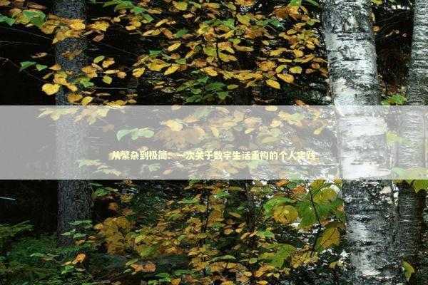 从繁杂到极简：一次关于数字生活重构的个人实践 IT技术