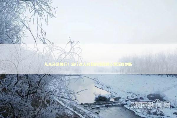 从众还是独行？旅行达人的目的地选择心理深度剖析