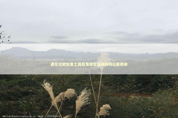 遇见这款实用工具后发现生活真的可以更简单