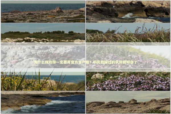 为什么我劝你一定要用官方客户端？听完我踩过的坑你就明白了 IT技术