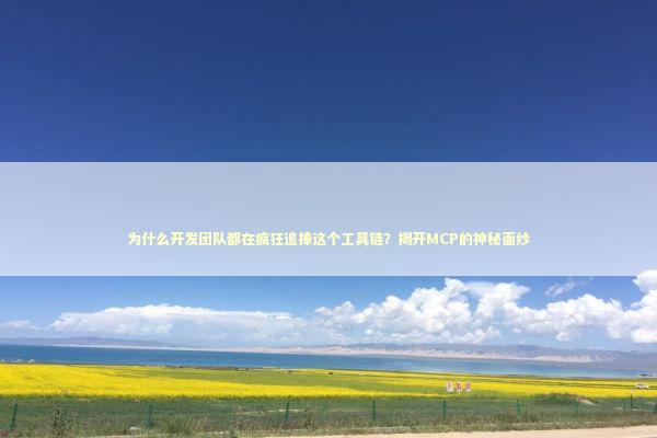 为什么开发团队都在疯狂追捧这个工具链？揭开MCP的神秘面纱 IT技术