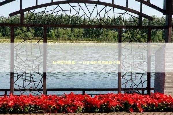 从绝望到惊喜：一位丈夫的节日救赎之路 时尚用品