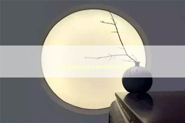 中小企业轻量化应用开发的实践探索与思考 IT技术