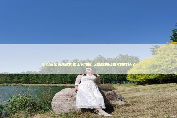 实验室全面测试网络工具性能 这些数据让技术圈炸锅了 IT技术
